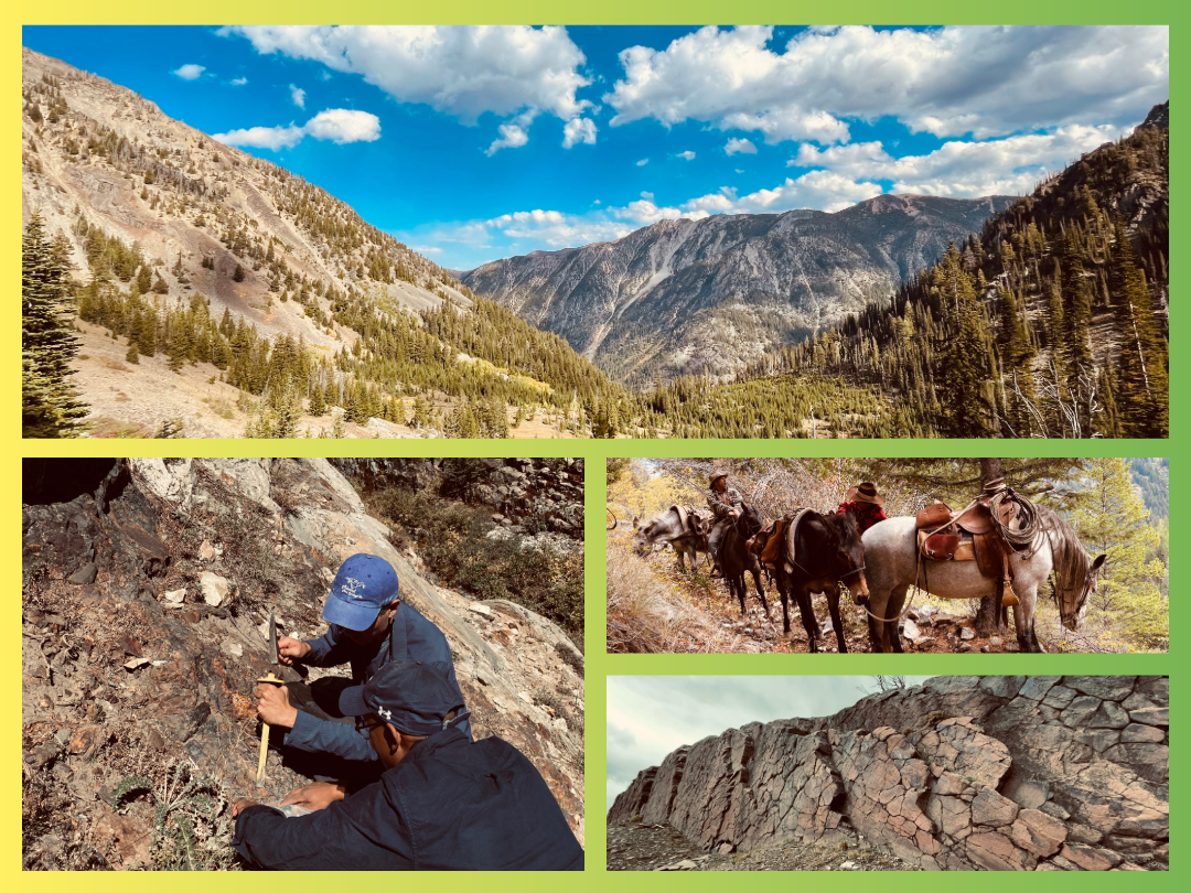 Description of photo