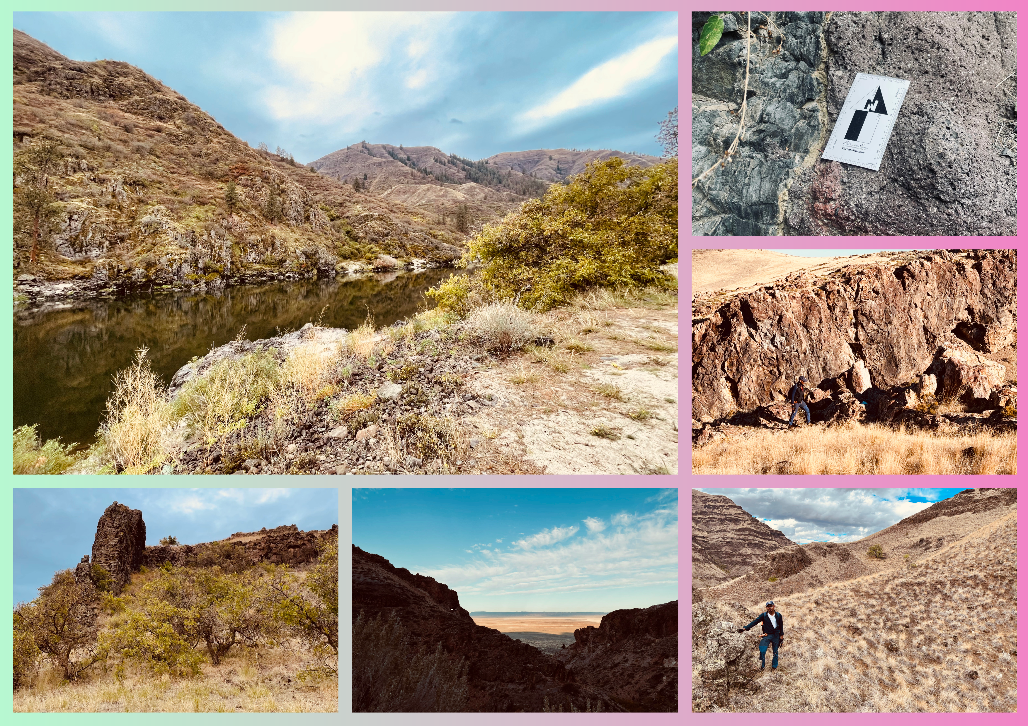 Description of photo